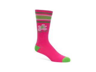 John Fluevog Anchor - Pink/Green | Graphic varsity sock